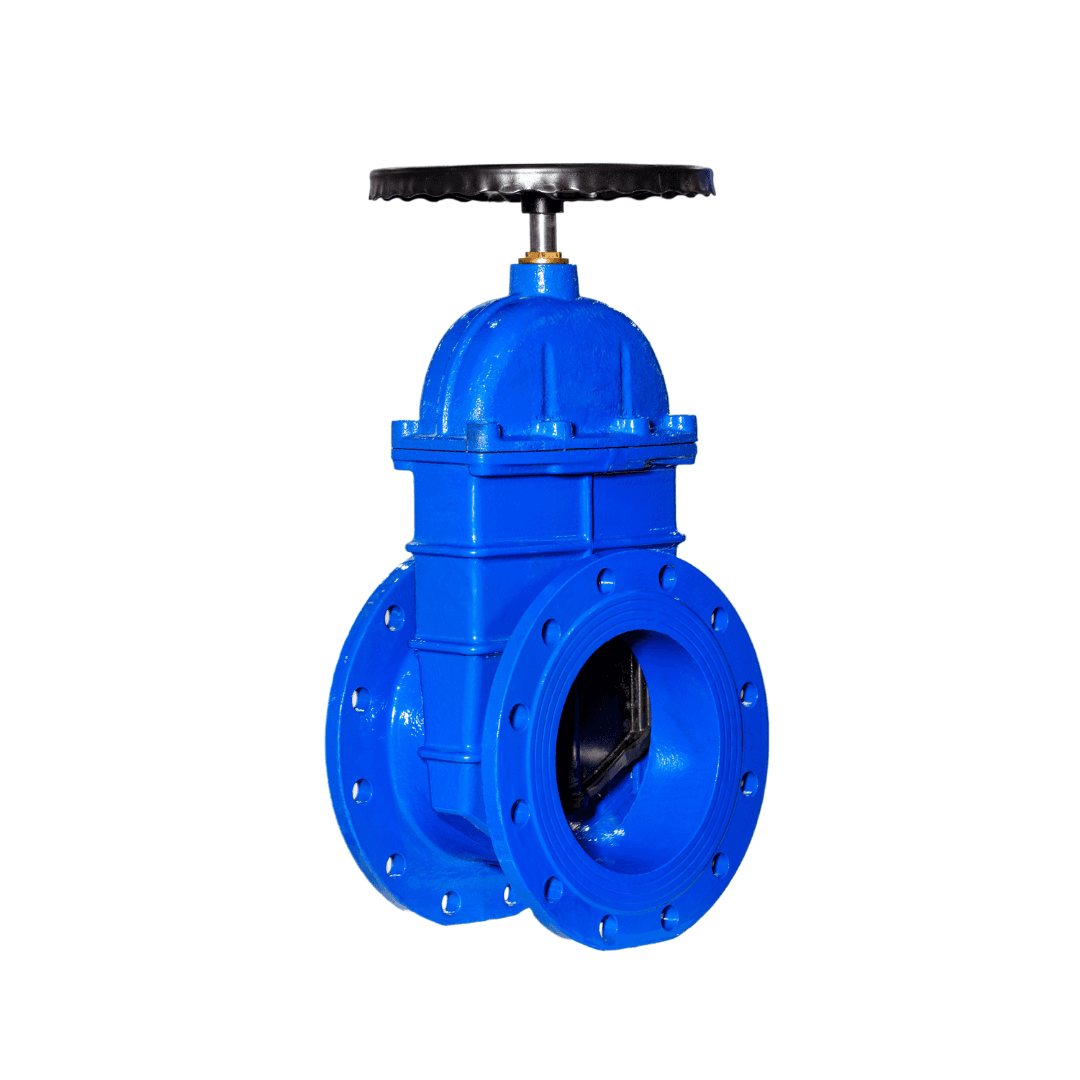 GATE VALVE