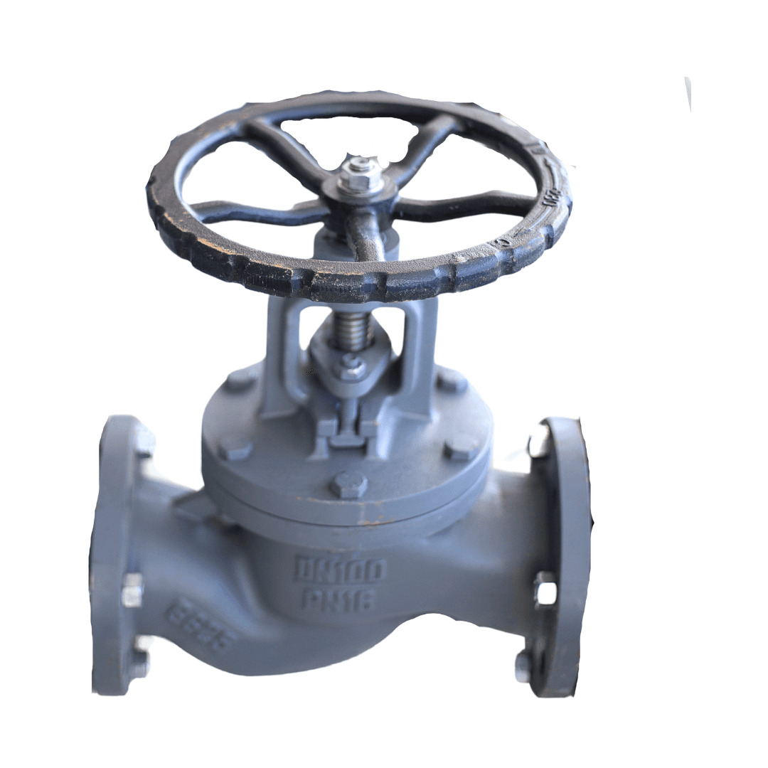 GLOBE VALVE